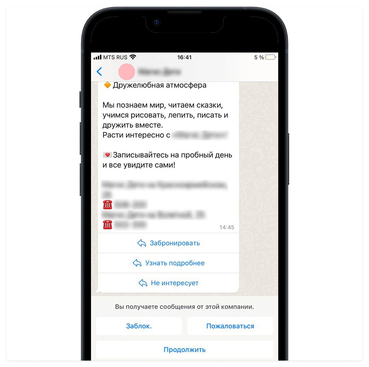 Рассылки в WhatsApp: почему это крутой инструмент и как их запускать —  IT-Agency